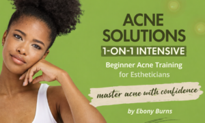 acne solutions 1 on 1 intensive training for estheticians by ebony burns beginner acne course and skincare education program